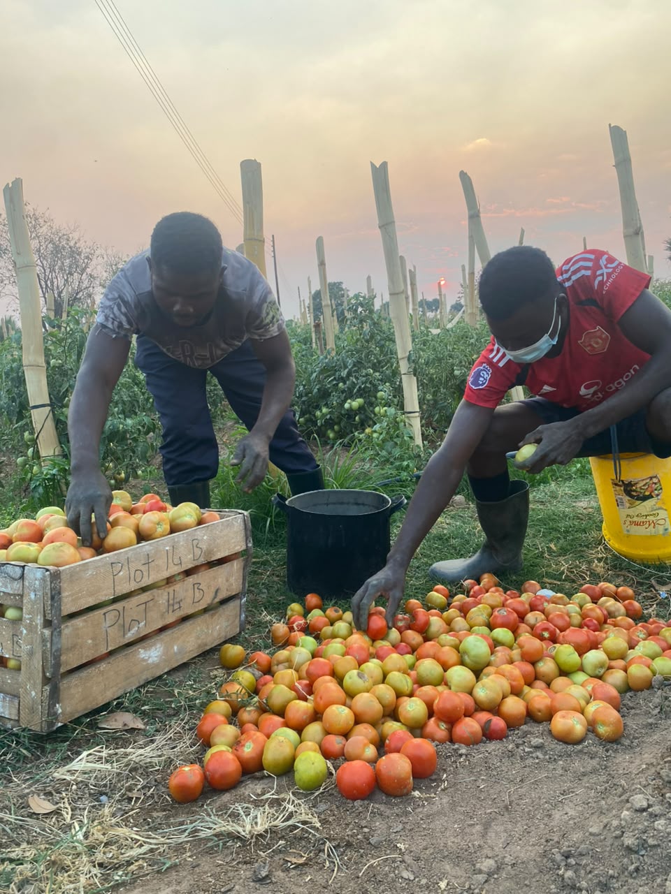 Kaptai Farms team on site
