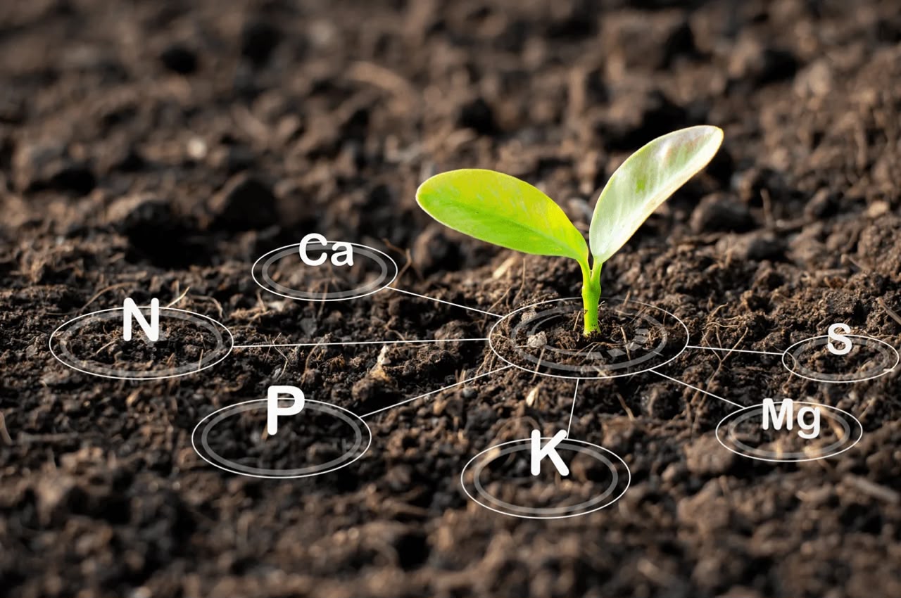 Soil health testing at Kaptai Farms
