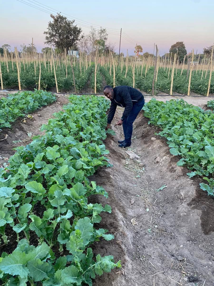 Vegetable field inspection at Kaptai Farms